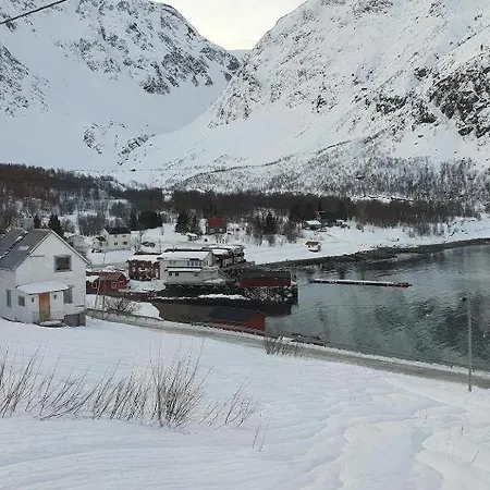 Lyngen Flexible Living - Alpine At The Start Of The Mountain 别墅 *